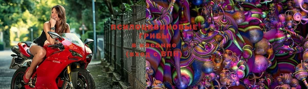 герыч Арсеньев
